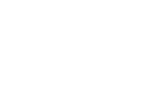 bunge (1)